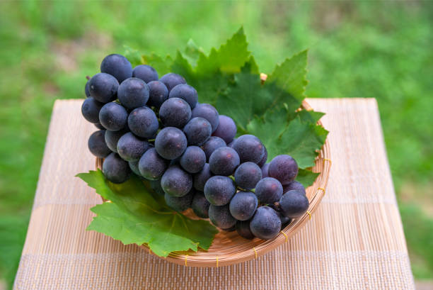 Black Seedless Grapes