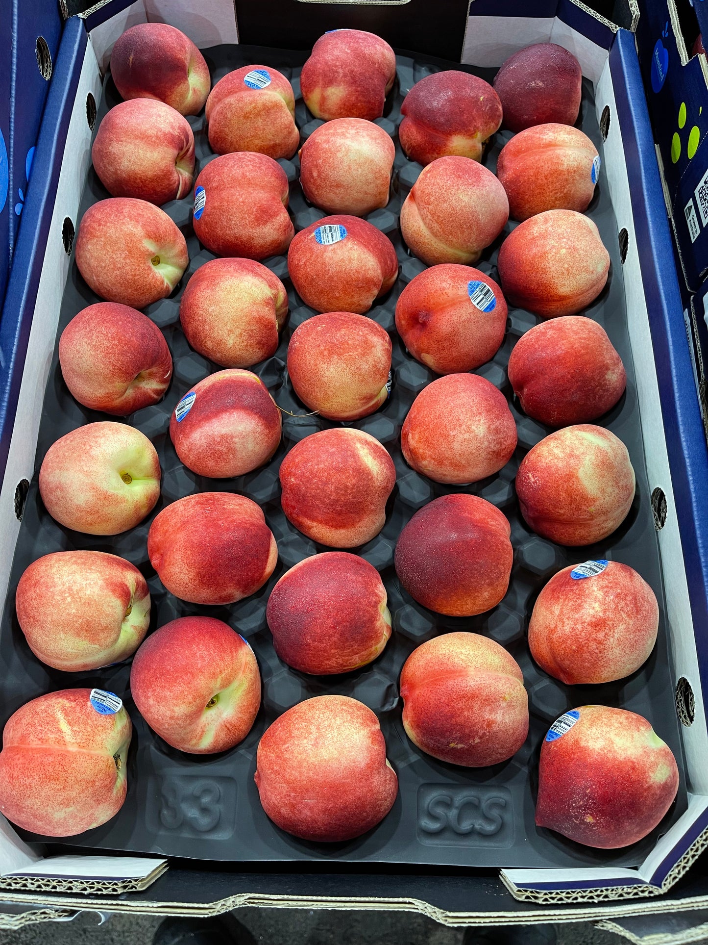 White Nectarines Premium