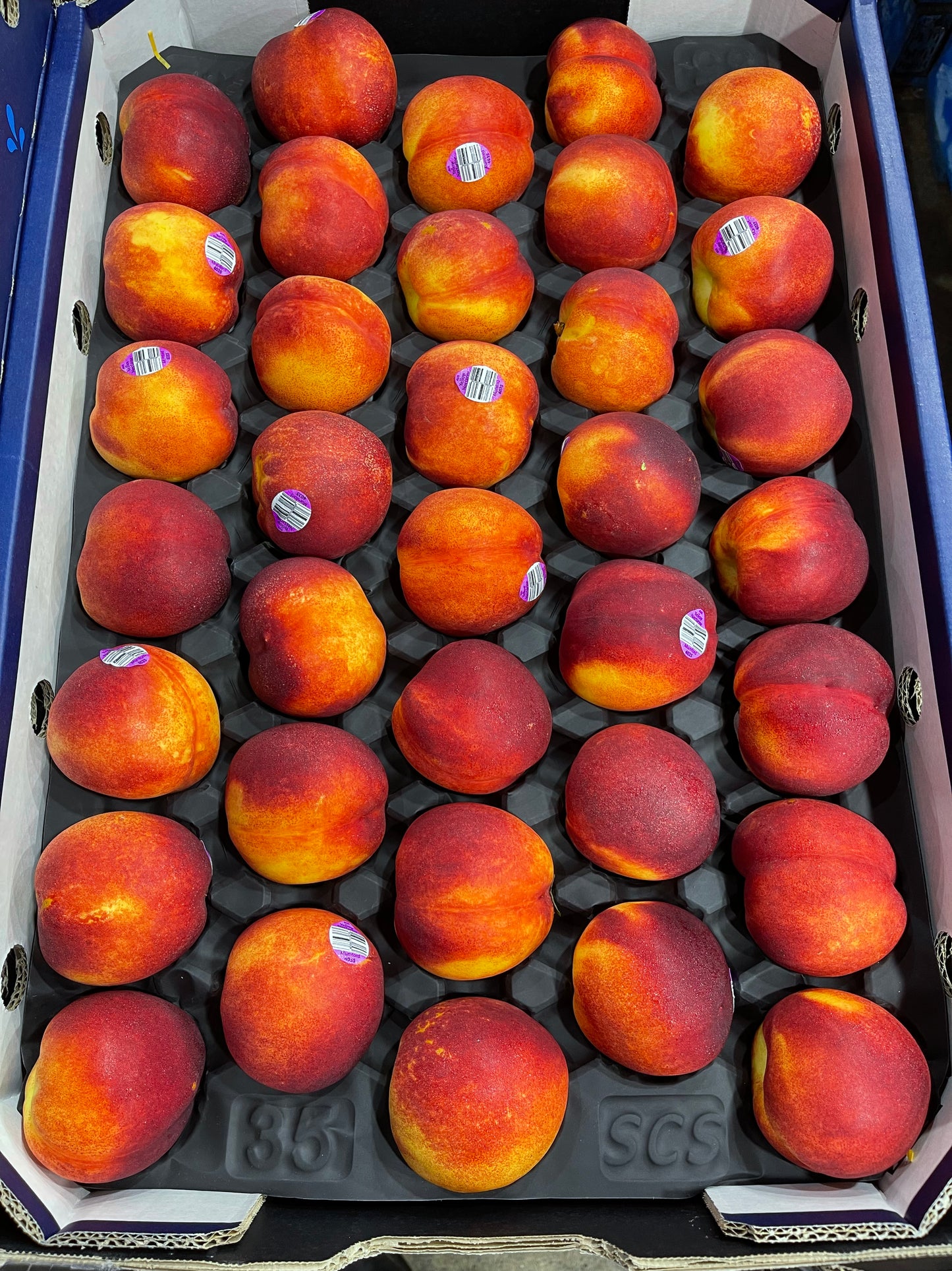 Yellow Nectarines Premium