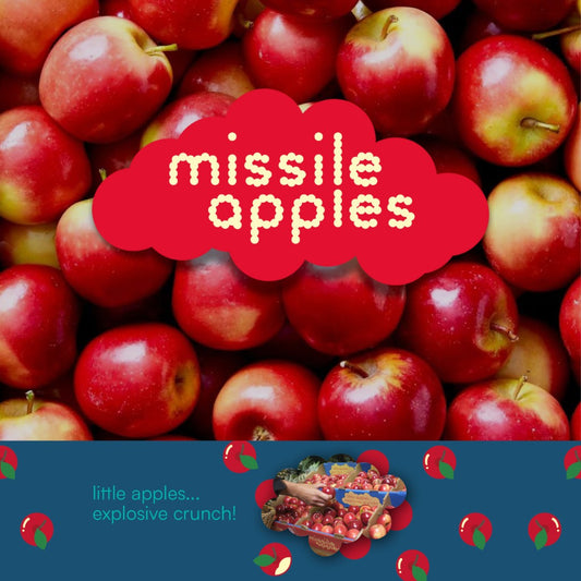 Apples missile/ Rocket