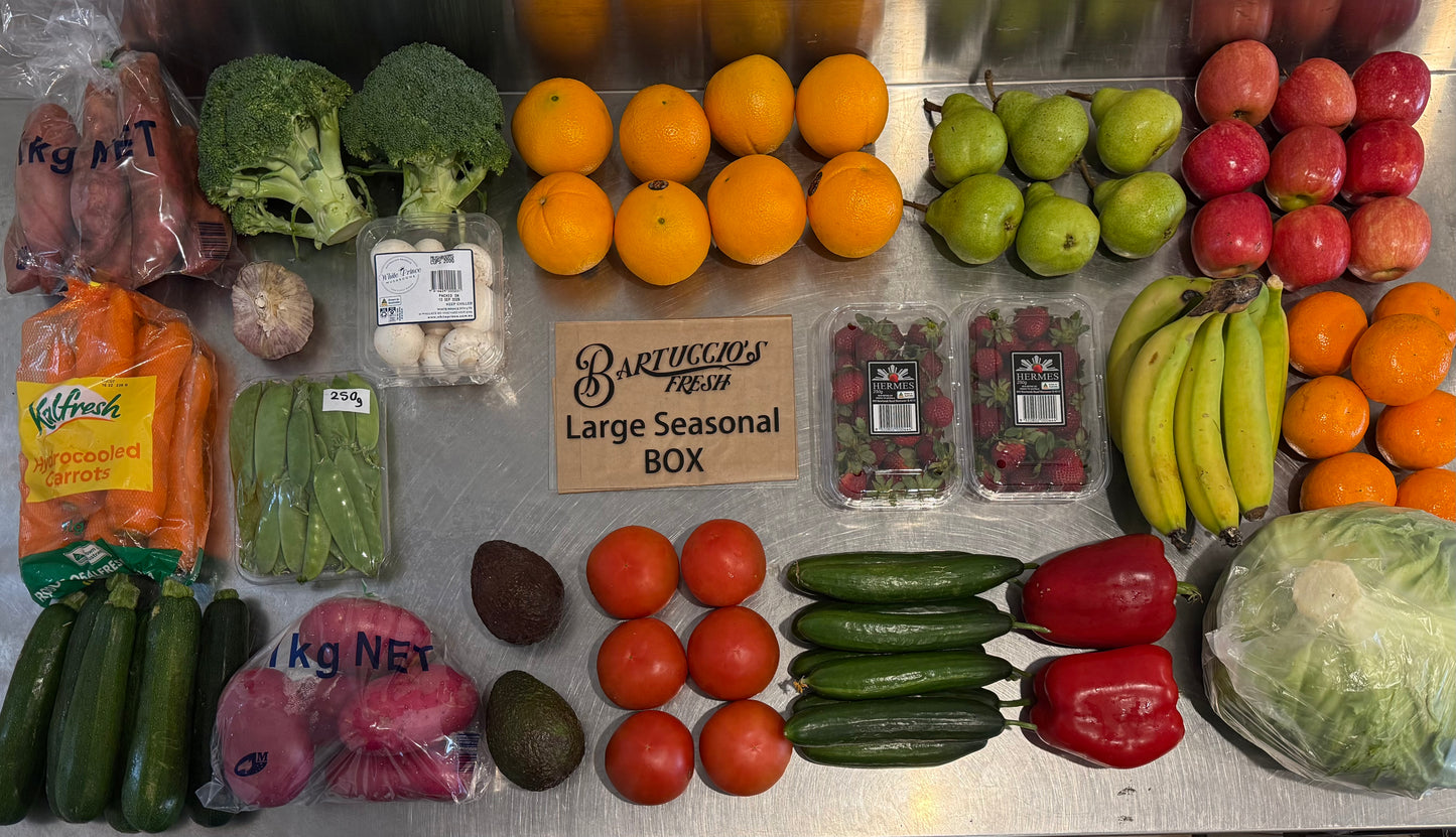 Large Seasonal Box