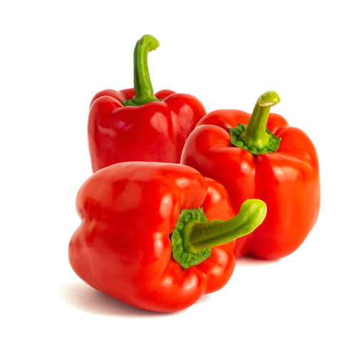 Red Capsicum (each)