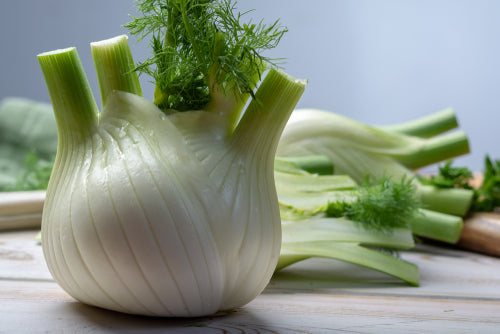 Fennel